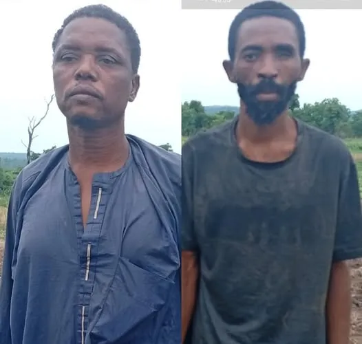 Kidnap Victims Rescued by Nigerian Army in Kwara State