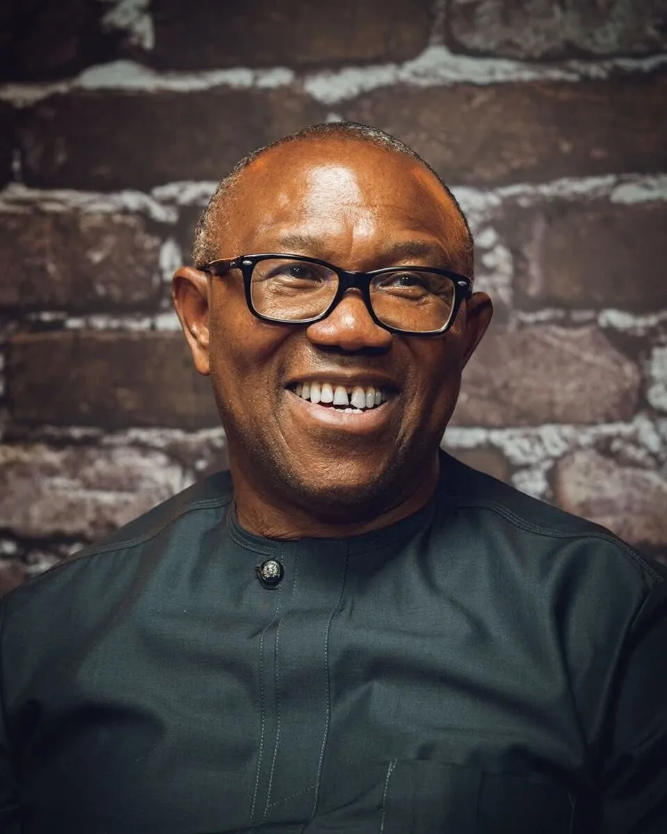 Abure Claims Obi and Otti Caused Labour Party's Leadership Crisis